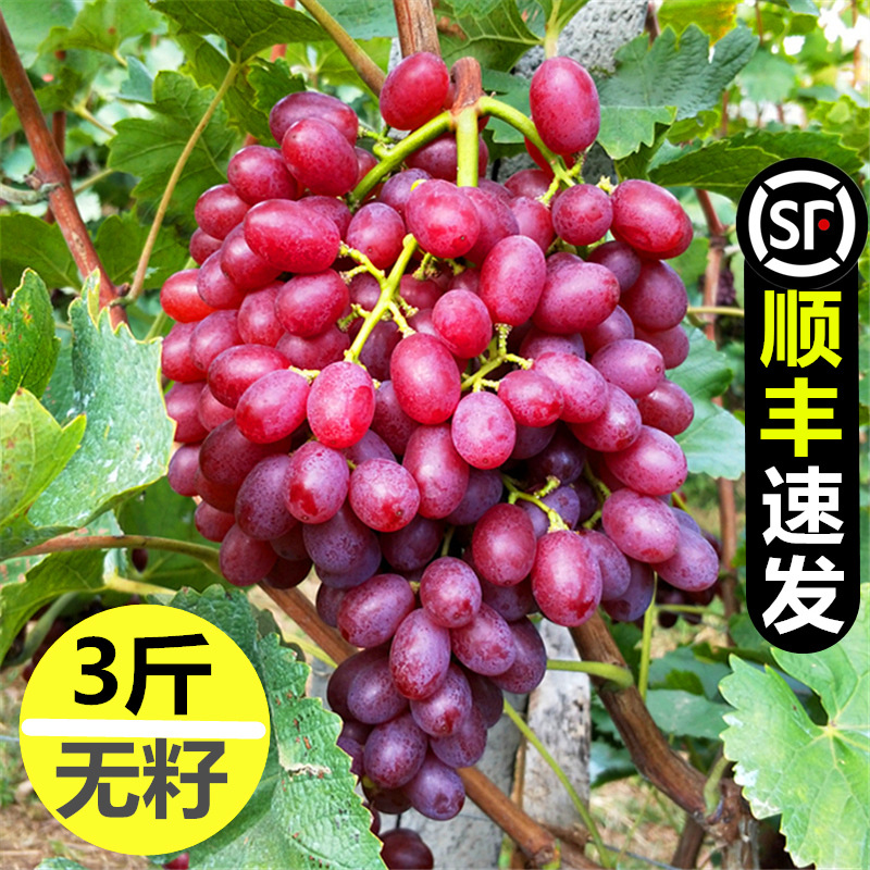 3斤 无籽克伦生葡萄新鲜孕妇红提子水果当季整箱非巨峰顺丰包邮