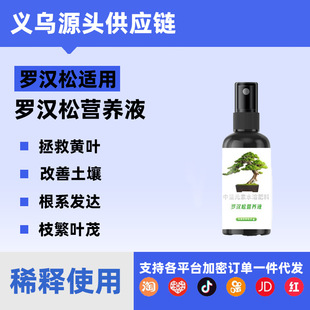 Special Nutrient Solution for Podocarpus Fertilizer, Taishan Pine, Osaka Pine, Shaped Pine Bonsai Maintenance, General Liquid Fertilizer