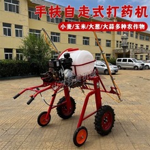 ַʽșCrÇșCСʽЧșC