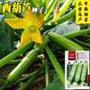 Han Yu's early green cashburies Seed manufacturers wholesale fast -growing precocious pure gourd seeds small vegetable garden farmhouse 孑