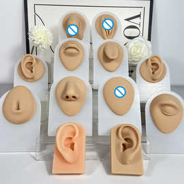 出口仿真眼睛鼻子耳朵硅胶模型展示首饰培训练习认穴纹身硅胶道具