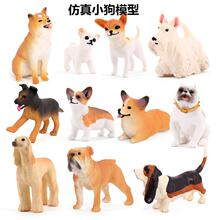 �羳���ķ��涷ţȮ��Ȯ������ѩ��Ȯ����Ȯģ������С��ģ�����