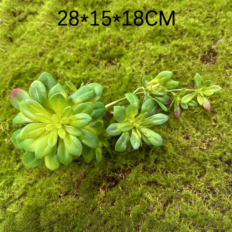 Marco decorativo Planta nórdica colgante de pared decoración de pared colgante de pared tridimensional pared de fondo de planta verde pared cabeza de ciervo simulación suculento planta verde