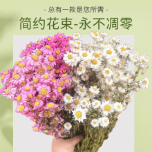 天然罗丹斯鲁丹鸟干花白 粉色 北欧小清新客餐厅家居装饰真花花材