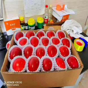 �����m�O���� ������O���� ����ɿ� �O����Ʒ�N �޽��O����