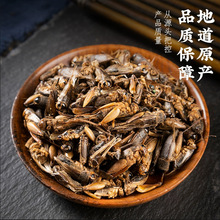 野山蟋蟀干蛐蛐干夜鸣虫秋虫将军干鸟食干净无杂可免费磨粉真货好