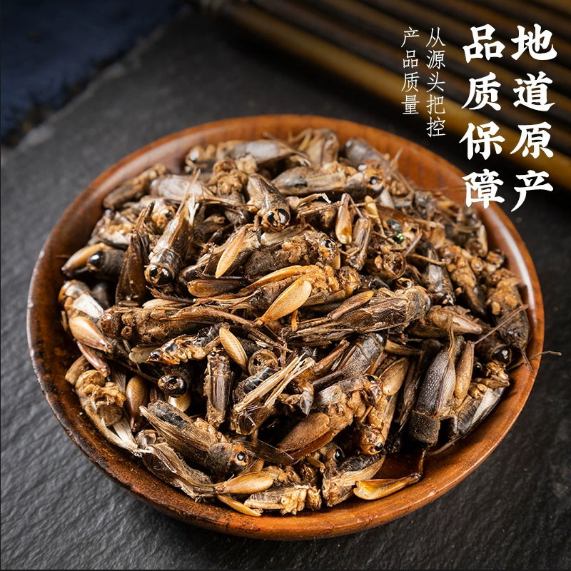 野山蟋蟀干蛐蛐干夜鸣虫秋虫将军干鸟食干净无杂可免费磨粉真货好
