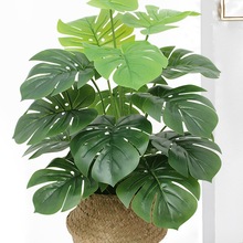 �GֲС���Ԕ[���͏d�҃��b��W��ֲ����������~���Ԙ�ٻ�