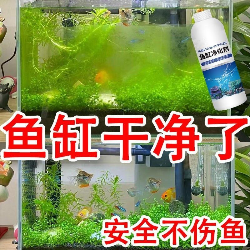 Purificador de Agua para Acuarios de Nitrobacterias, Limpiador y Eliminador de Algas, para Peceras image 4