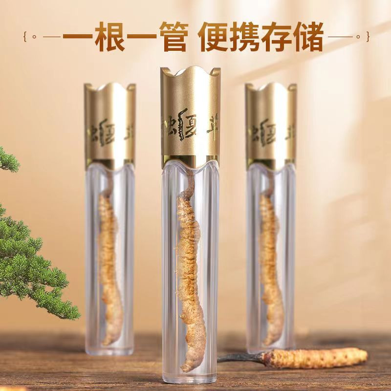 冬虫夏草 精选虫草高档礼盒装过节中秋送礼滋补佳品|undefined