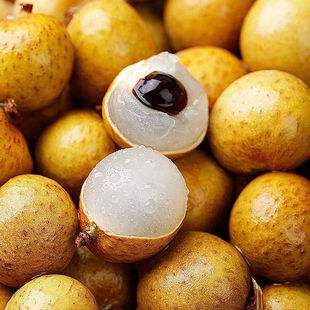 ̩���������r�M�ڹ��A�����Ꭷ�ЋDˮ���Fժ�F�lA��23-26mm����