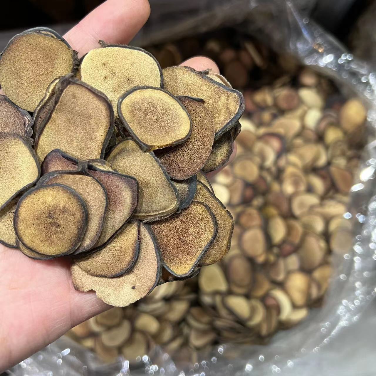 微信图片_20221017224101