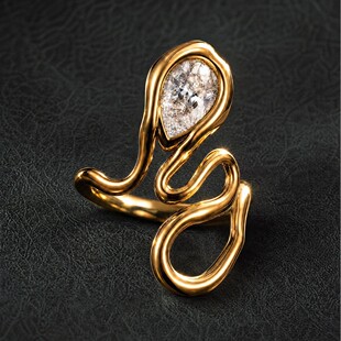 �W���L�O���ع���ʯ�r�й����OӋ��alexis bittar��ָ