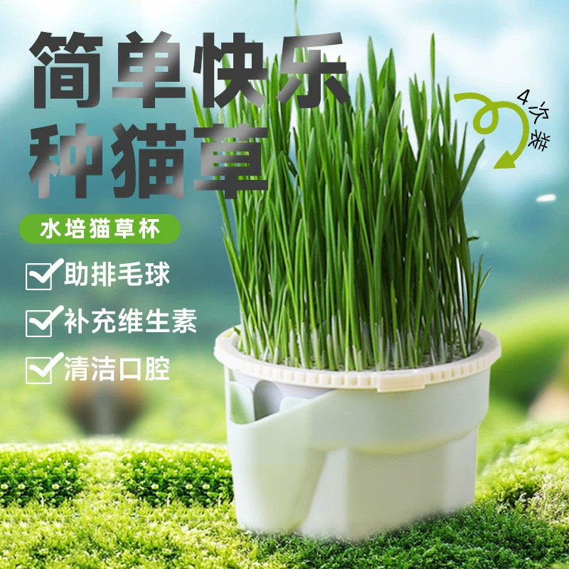 Кошачья трава Sensen в горшках, беспочвенная гидропонная кошачья трава для ленивых, которые могут вырастить свою собственную кошачью траву, принадлежности для котят, закуски для кошек, готовая к употреблению кошачья трава