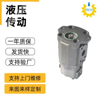 厂家直供ZAX-60 双联液压齿轮泵 高质量压齿轮油泵