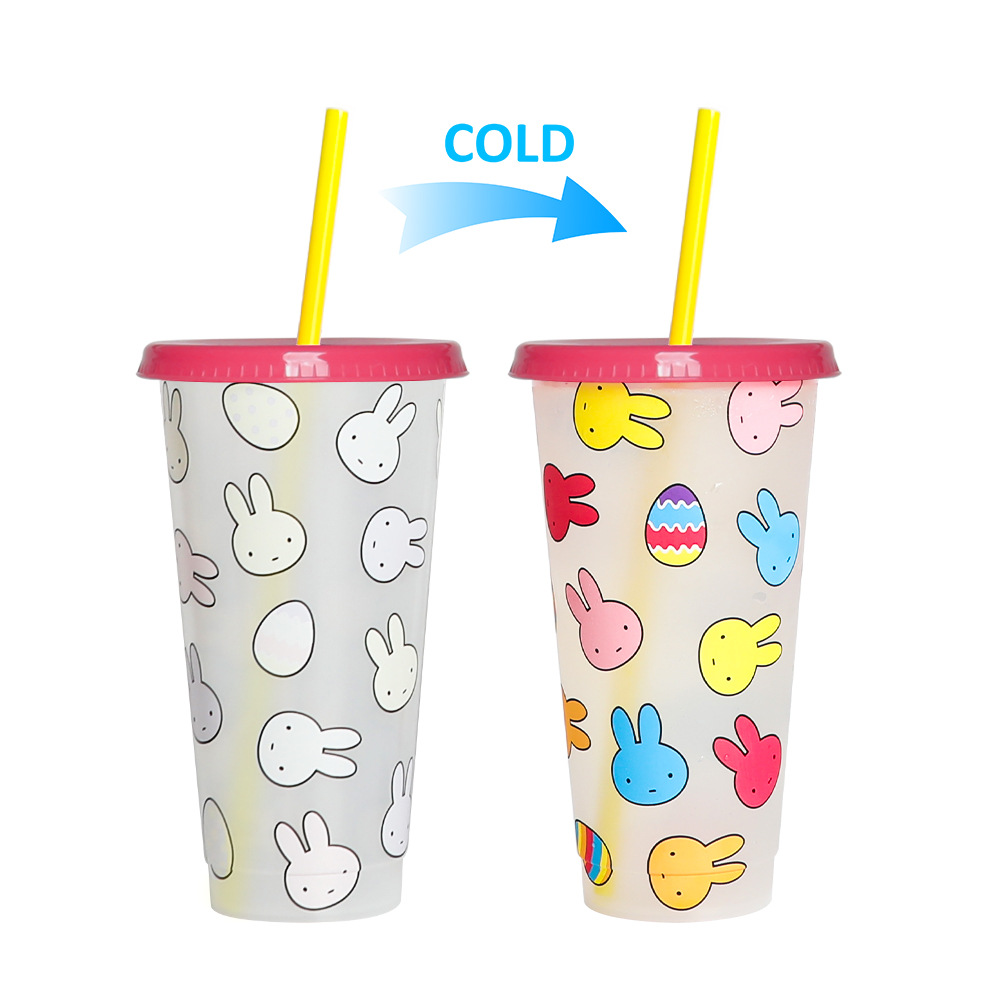 Spot transfronterizo de 710ml taza de plástico de color frío de gran capacidad PP taza de té con leche bebida fría con taza de paja con fábrica de inspección NBCU