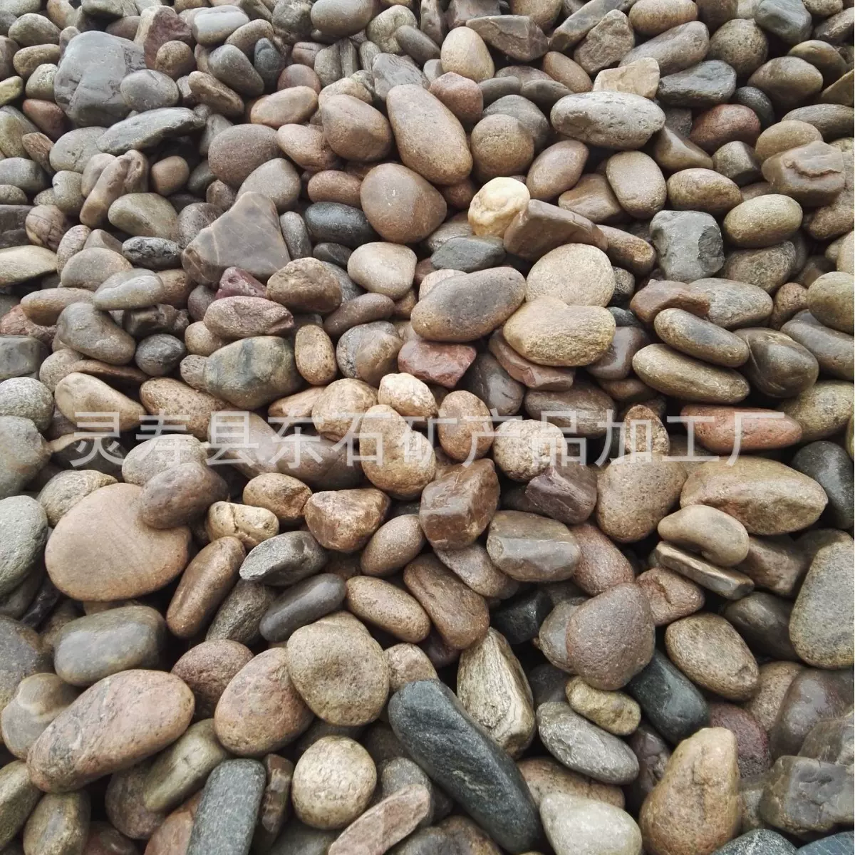 供应鹅卵石 高硬度河鹅卵石 变压器填充过滤5-8鹅卵石