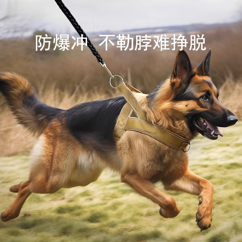 Corda de tracción a prueba de explosiones para perros, cinturón de pecho, perros de tamaño medio y grande, labrador dorado, cuerda de perro para caminar, cadena para perros