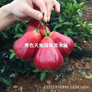 �޽Ӻڽ������~�t���ǰű�����ɏ�F��ͥԺ����Y���������~������