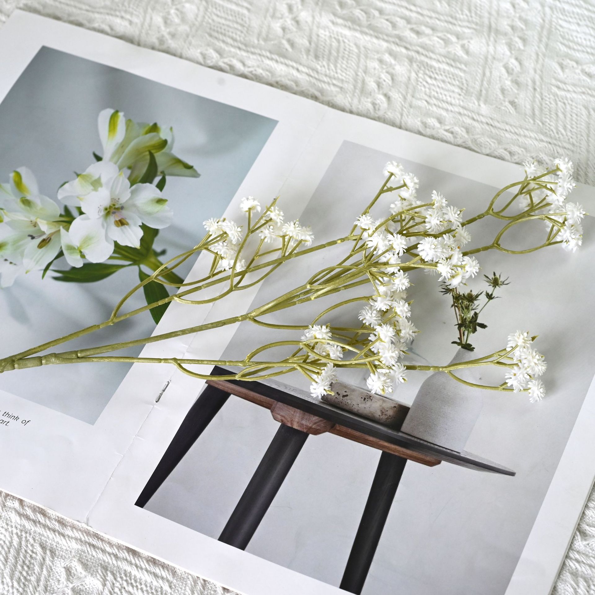 Simulated 4-pronged gypsophila bouquet home display photography…