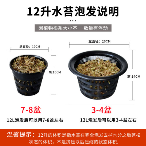 Dried Moss Orchid Butterfly Orchid Live Moss Orchid Stone Orchid Carnivorous Plant Specific Soil