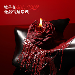 42&deg;�u׃ĵ�����͜�Ϟ�T��Ȥ������Ʒ��Ϟ��H�����Α�͜�Ϟ�T