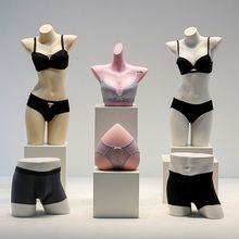 ����ģ��չʾ����Ů�����۔n���؃�ѝģ�ؼܼ����w�Ĕz���������|