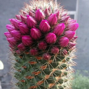 �t���\���ɶ����_�����������_һȦ�����_�໨���B�׻��ݗ��