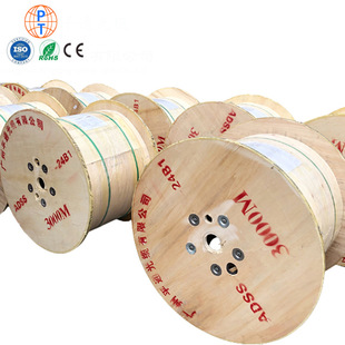 �S�ҹ���ADSS���| 4/8/12/24/48о��ģ���wͨ������ܿ�100�יn��