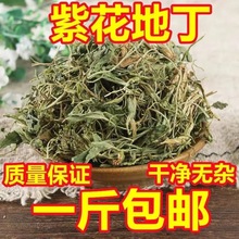 中药材批发 产地大货紫花地丁散装 新货纯净干货药食同源代发包邮