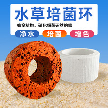 【批发】水草培菌环固定环沉底环水草环过滤环定置环鱼缸沉底过滤