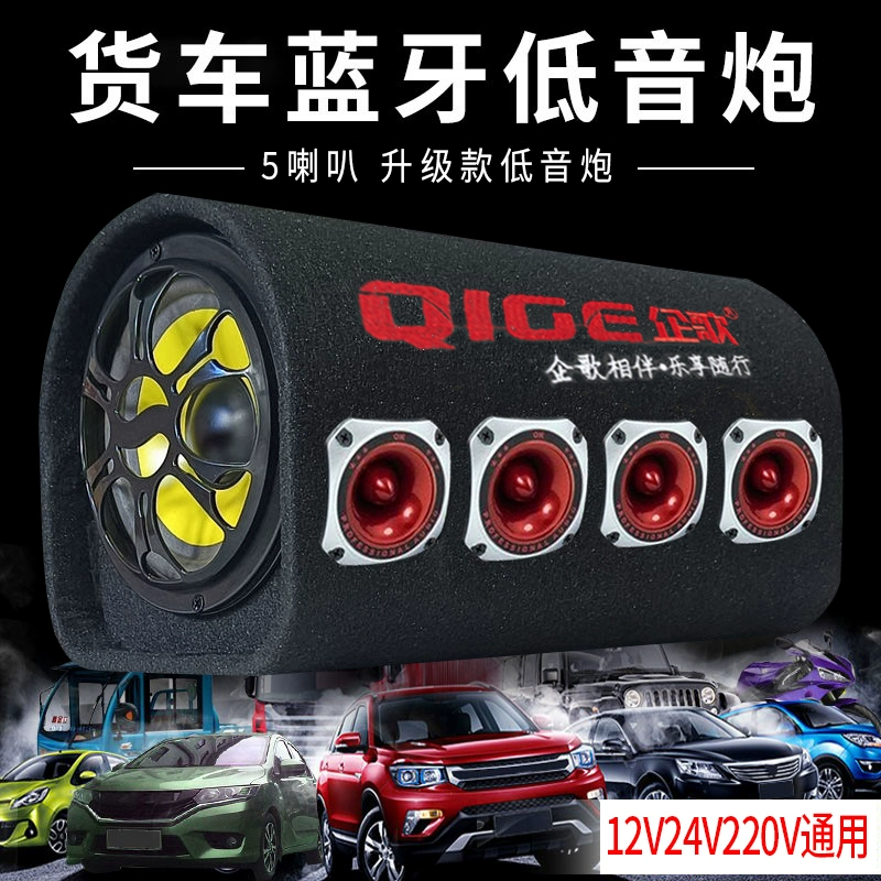 Мегофон, тоннель, колонки, bluetooth, 24В, 220В