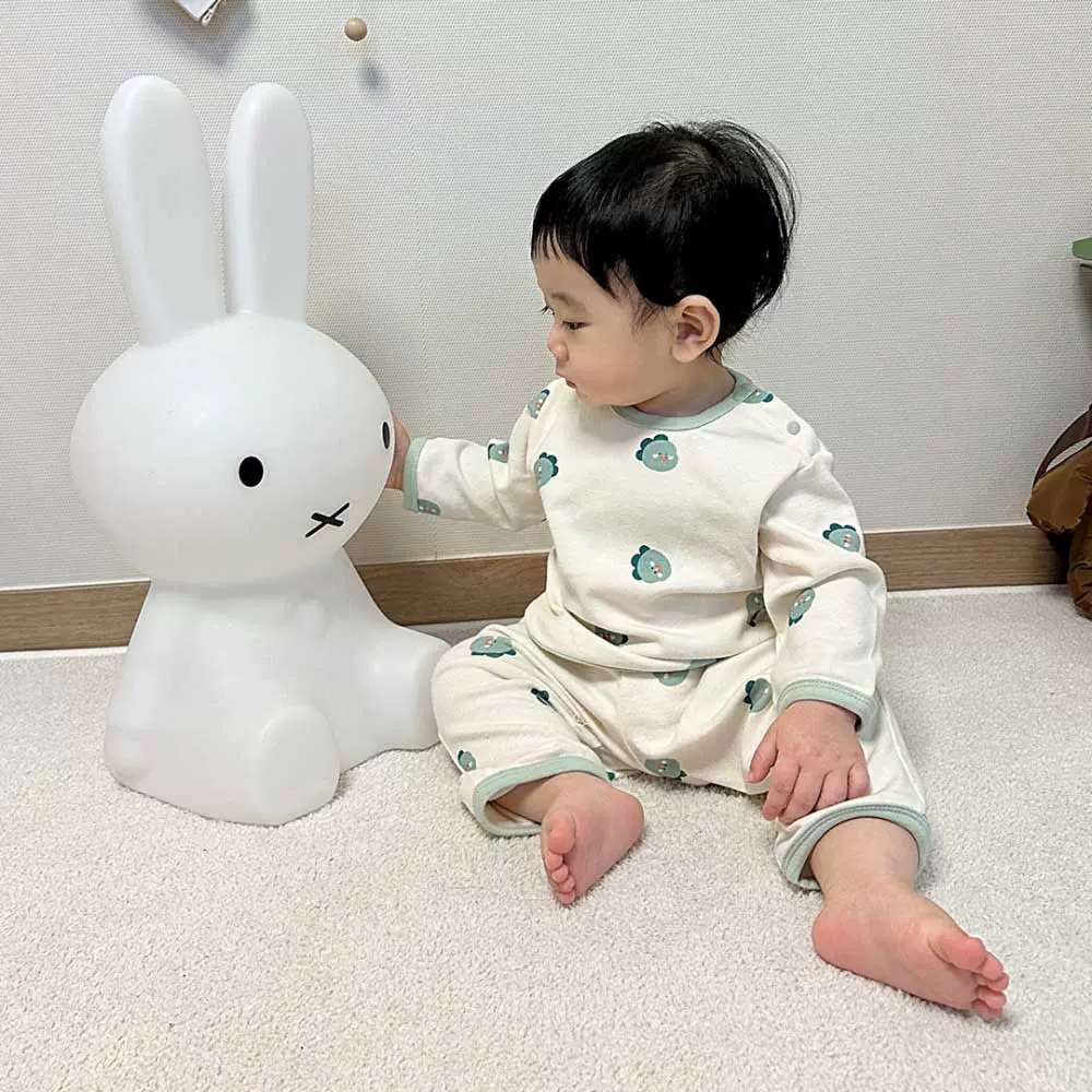 25春季新款儿童居家服ins风小动物满印空调服两件套小童长袖套装