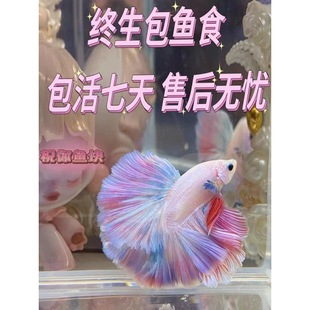 ̩�����~���^�p���~���wС���~�ןᎧ��ˮ���B����W�t�۰׻鼆