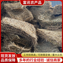 ���Ƶ��ݴ� �N���o�²ݴ��ӾG�������b���ݴ���Ѵ���̲݉|�ݰ�