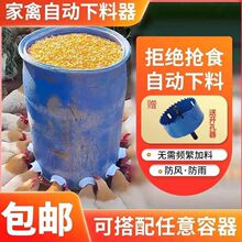 新款家禽自动喂料器养鸭自动喂食器家用喂鸡食鸡鸭自动料食桶