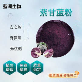 紫甘蓝粉 富含花青素 紫甘蓝提取物 量大价优