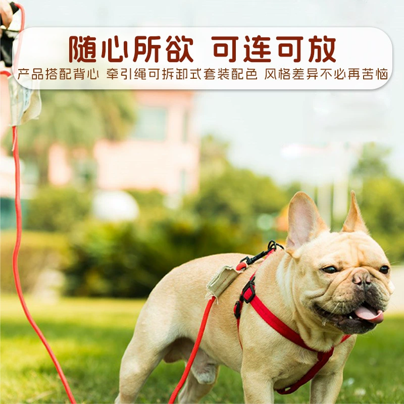 Маленькие и средние собаки домашние животные нагрудные ремни кошки собачьи жилеты