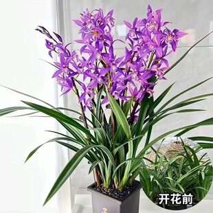 �������m���������҃��̨�Gֲ���B�׻�����F�����m���ļ��_��