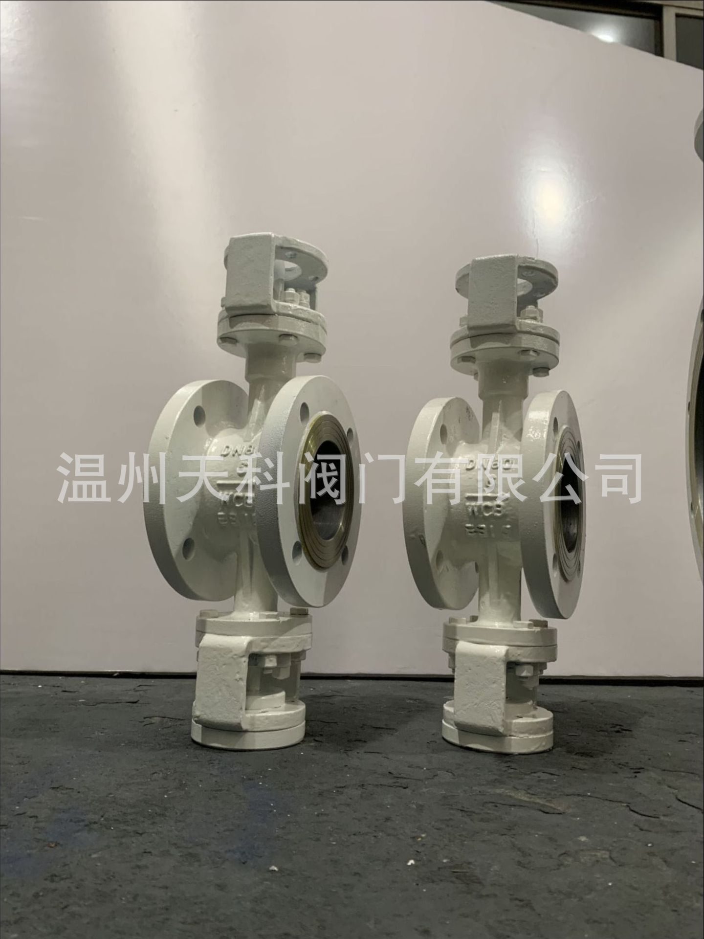 国标德标PN6-DN80三偏心法兰铸钢阀体轴承外置结构光杆可配气动