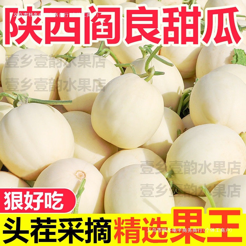 包邮陕西阎良甜瓜新鲜应季水果现摘脆甜冰糖瓜白瓜小香瓜整箱包邮