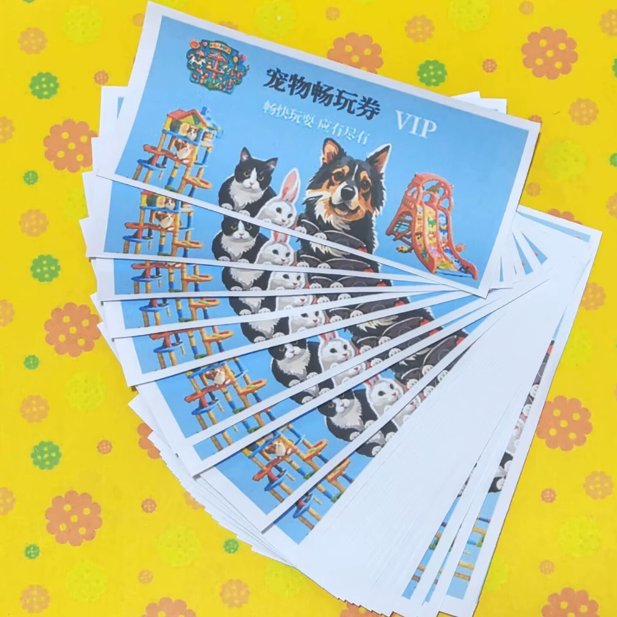 Домашние животные похоронные котенки пять хвостов