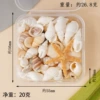 Натуральные морские ракушки и декор