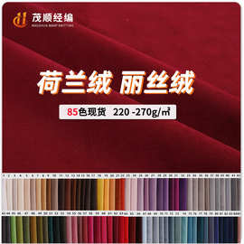 现货荷兰绒沙发布 全涤天鹅绒玩偶布料 丽丝绒荷兰绒短毛绒批发