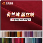 现货荷兰绒沙发布 全涤天鹅绒玩偶布料 丽丝绒荷兰绒短毛绒批发