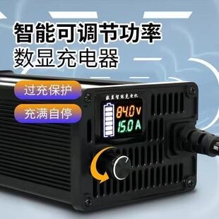 ��������{�����@���{���늳س����48V60V72V8A10A���{������