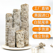 �羳���l����β���{��β��ѩ�����}ľ���������U�~��