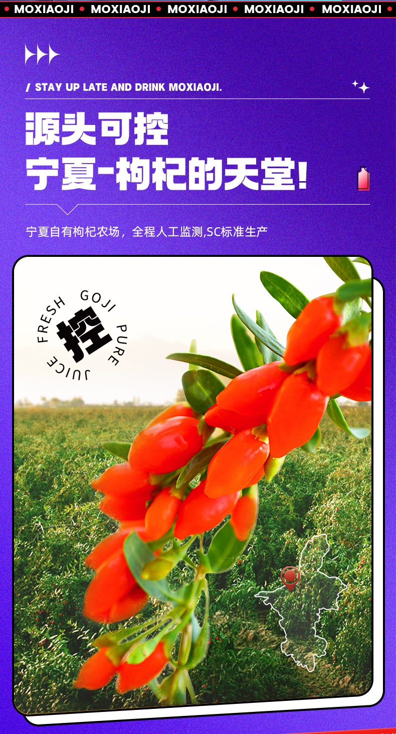 Goji Berry Puree Juice 210ml x 7 Sachets Ningxia Wolfberry Fresh Juice Drink specifications