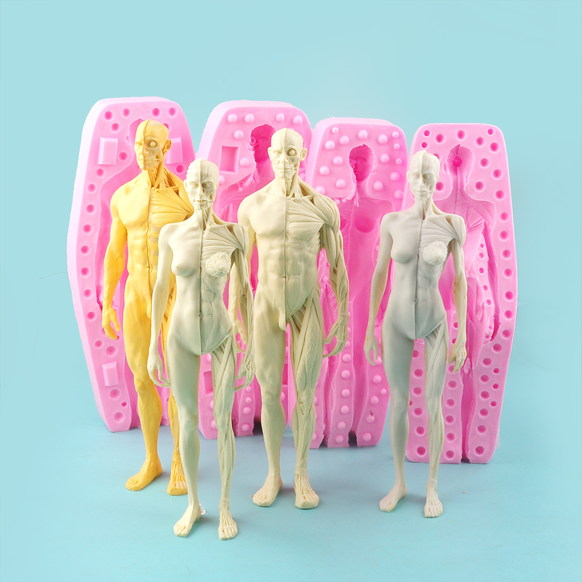 Fondant muñeca pastel molde médico humano músculo y hueso anatomía modelo hornear decoración de yeso herramienta abrasiva