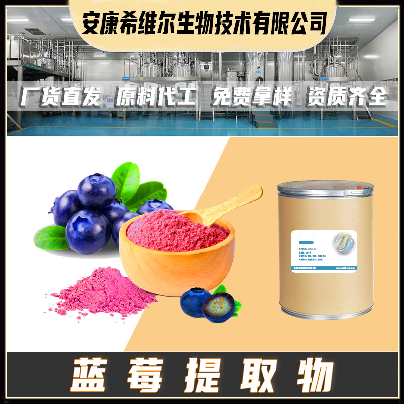 蓝莓提取物 蓝莓粉 果粉 植物提取物 现货包邮